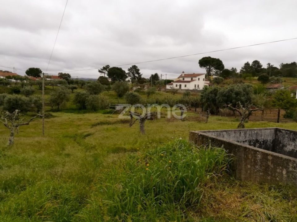 Granja a Tomar, Santarem - foto 2