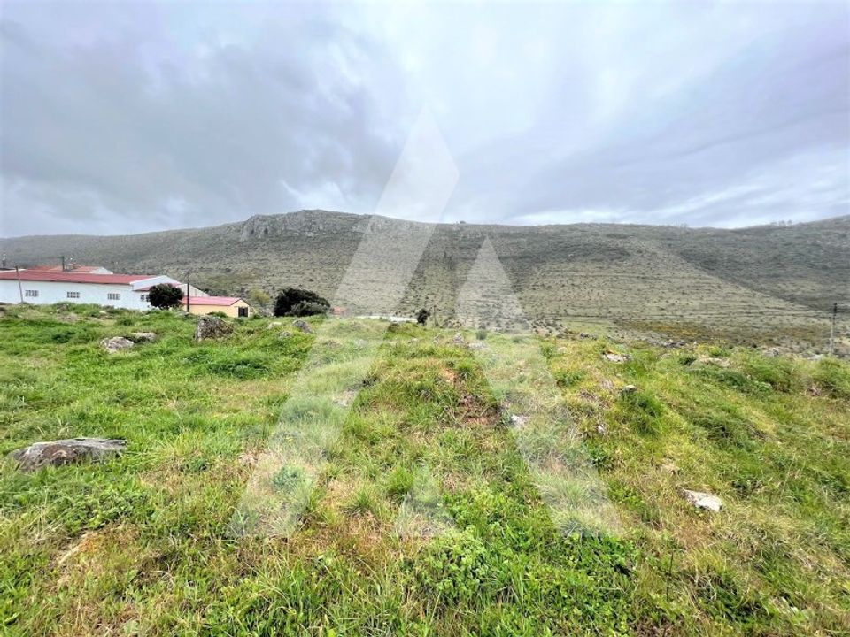 Helårsgrund i Mira de Aire, Leiria - foto 4