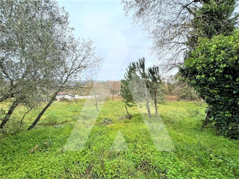 Helårsgrund i Leiria, Leiria - foto 2