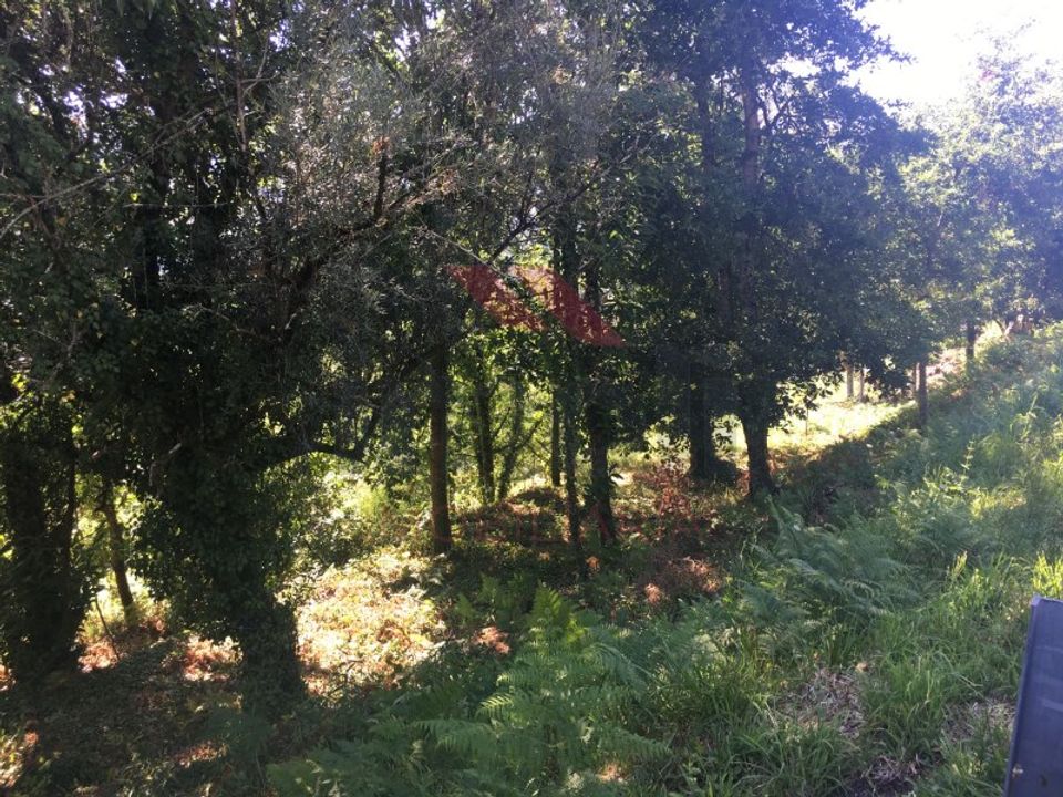 Helårsgrund i Amares, Braga - foto 4