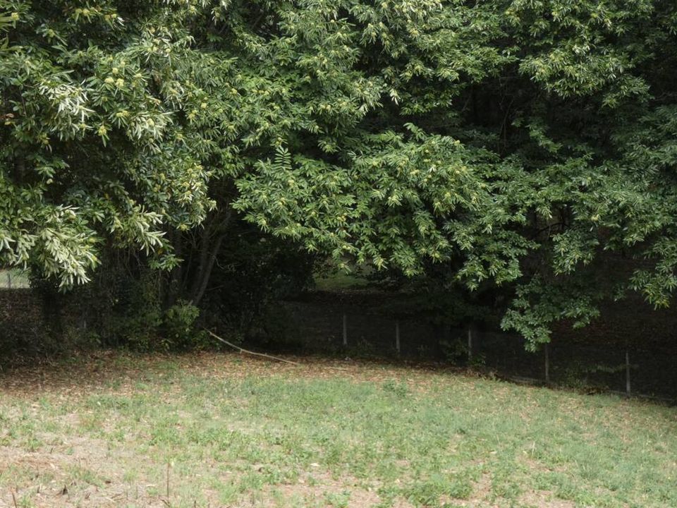 Helårsgrund i Brive-la-Gaillarde, Correze - foto 3