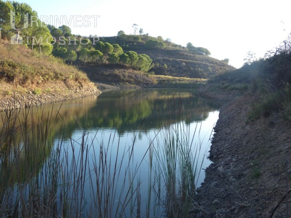 Farm i Silves, Faro - foto 5