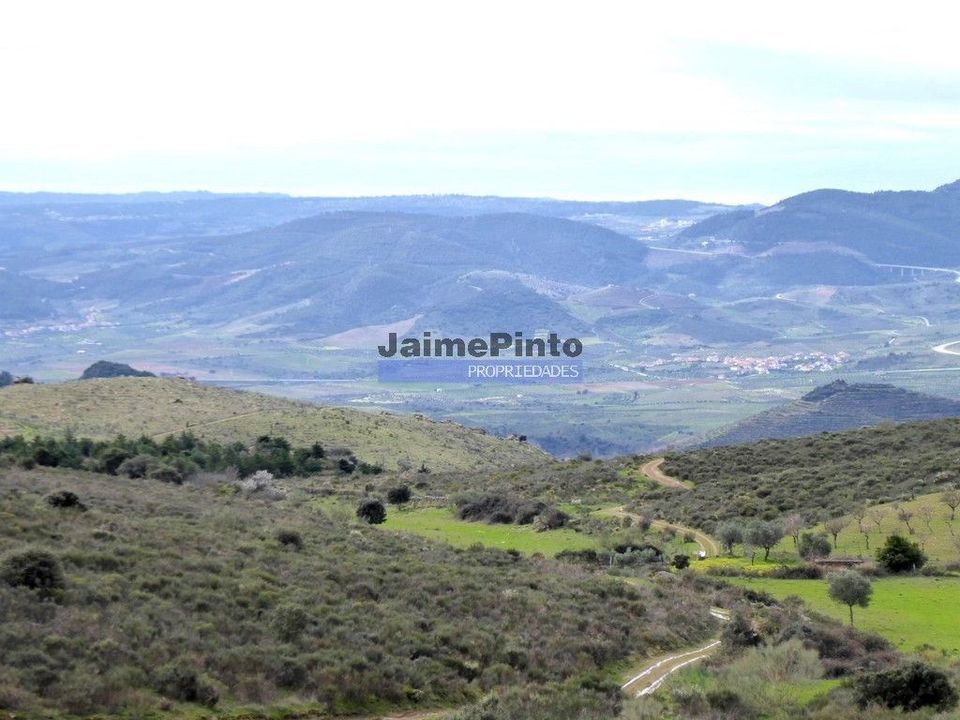 Helårsgrund i Alfandega da Fe, Braganca - foto 3