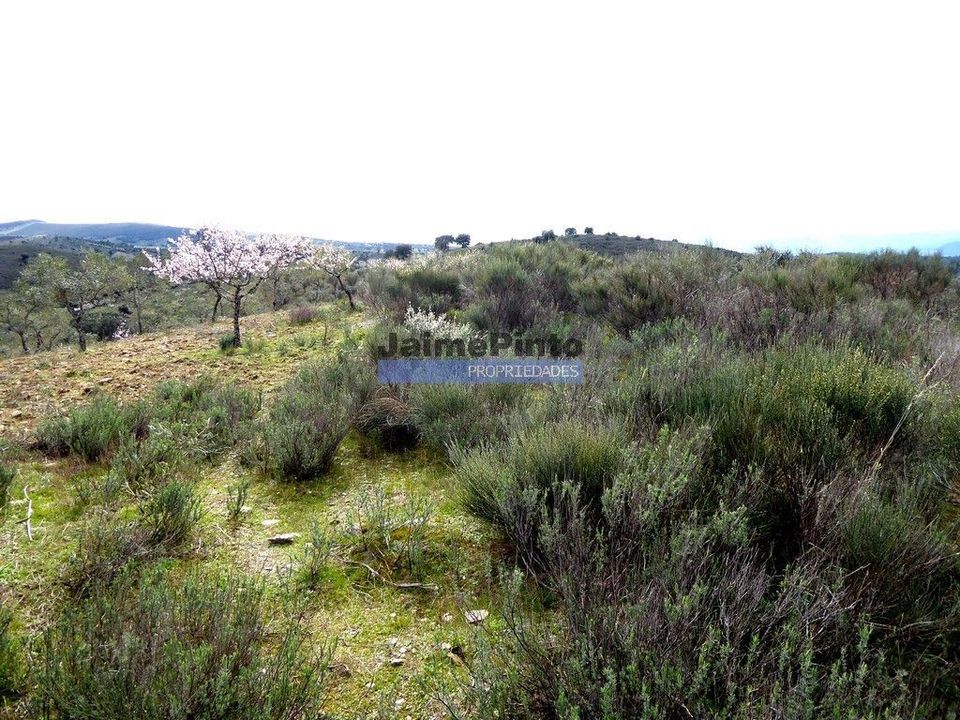Helårsgrund i Alfandega da Fe, Braganca - foto 4