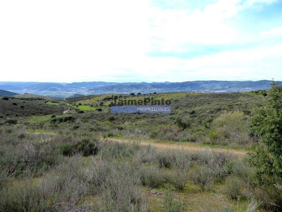 Helårsgrund i Alfandega da Fe, Braganca - foto 5