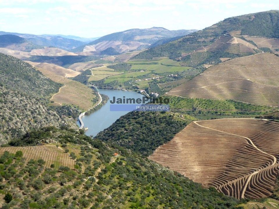 Helårsgrund i Sao Joao da Pesqueira, Viseu - foto 4