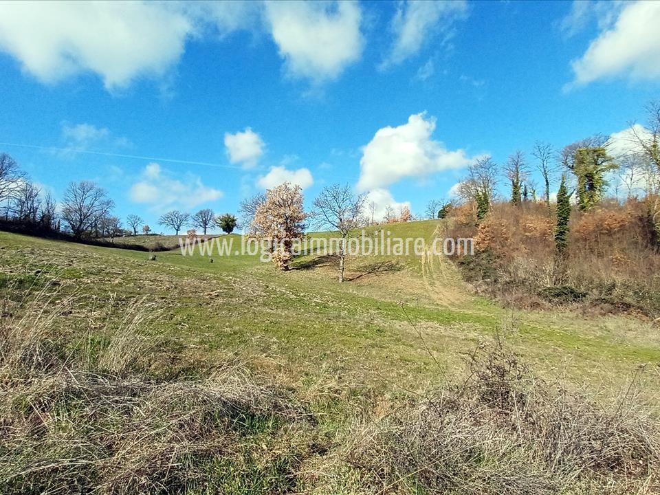 Masia a Porano, Terni - foto 5