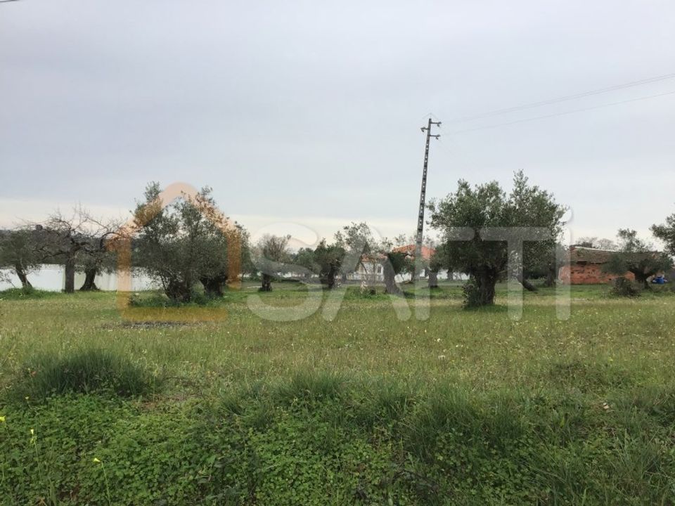 Helårsgrund i Torres Novas, Santarem - foto 2