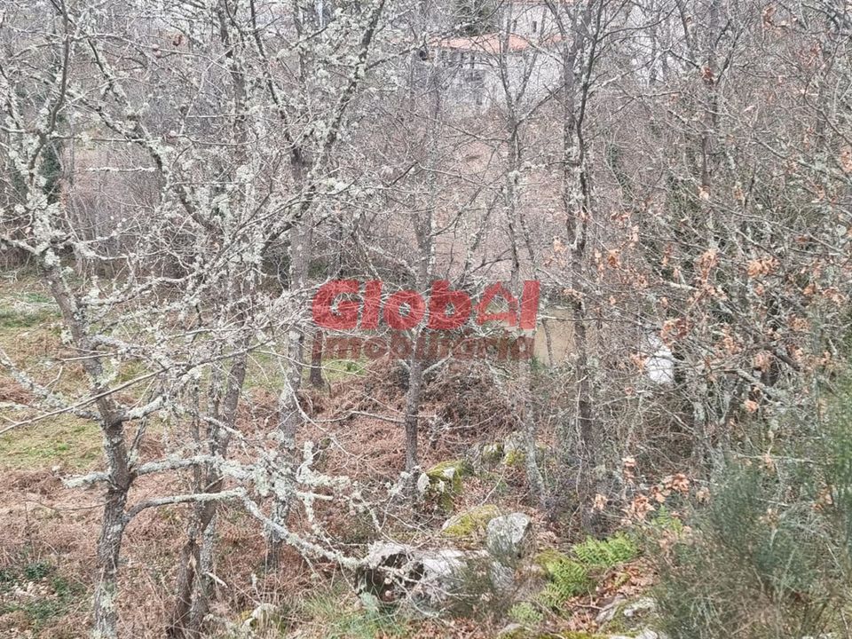 Helårsgrund i Viseu, Viseu - foto 2