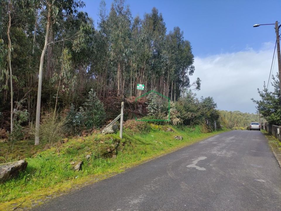 Helårsgrund i Caminha, Viana do Castelo - foto 4