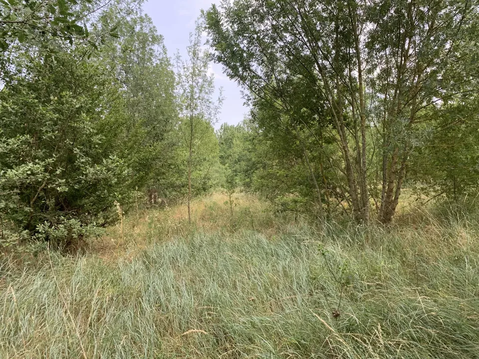 Land in Pieusse, Aude - photo 3