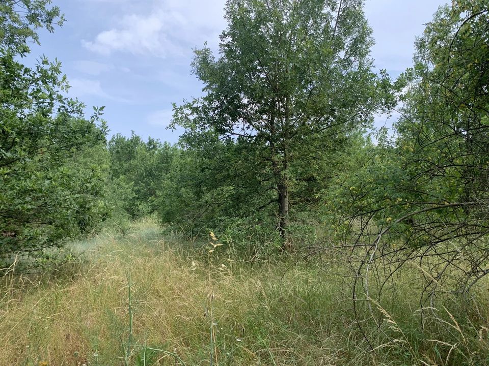 Land in Pieusse, Aude - photo 4