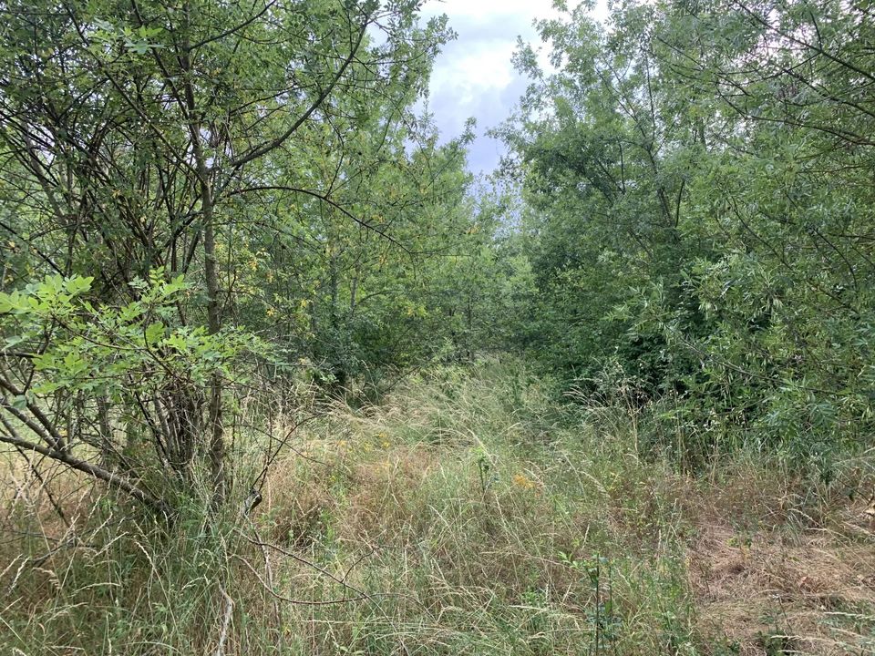 Land in Pieusse, Aude - photo 5