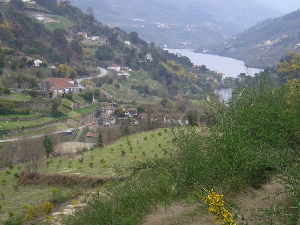 Farm i Penhalonga e Pacos de Gaiolo, Porto - foto 3