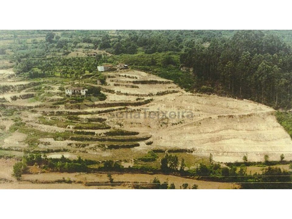 Farm i Penhalonga e Pacos de Gaiolo, Porto - foto 5
