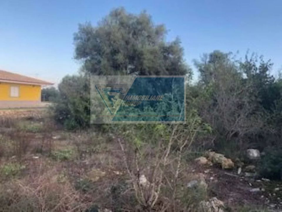 Terra a Melilli, Siracusa - foto 3