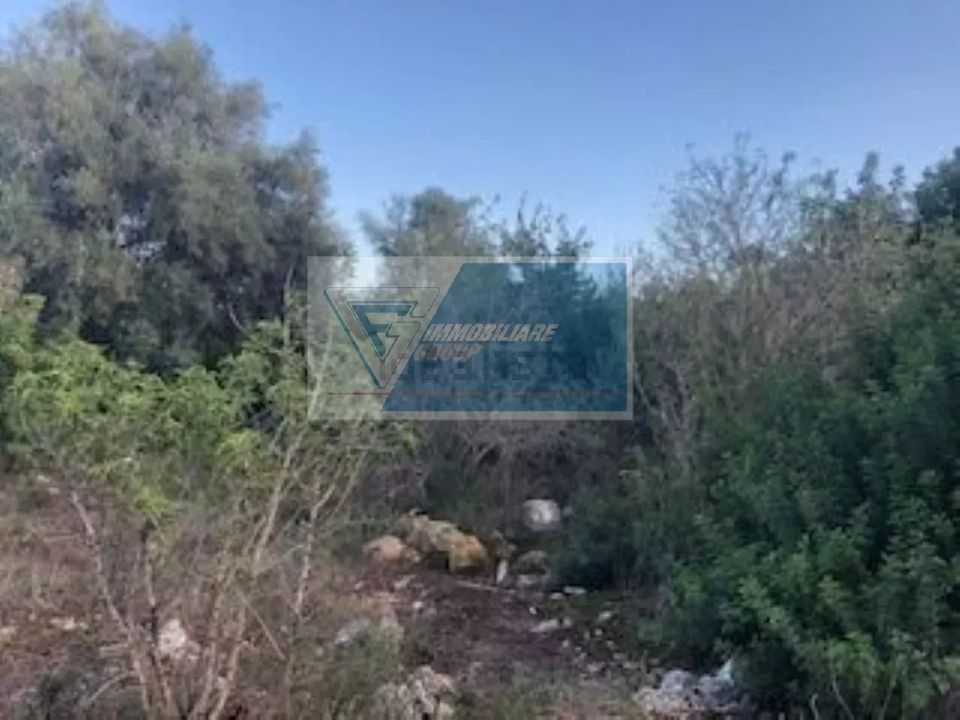 Terra a Melilli, Siracusa - foto 4