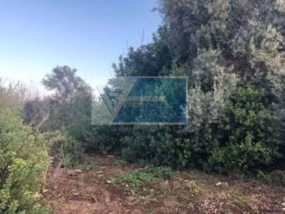 Terra a Melilli, Siracusa - foto 5