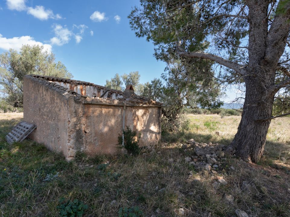 Finca a Roquetes, Tarragona - foto 4