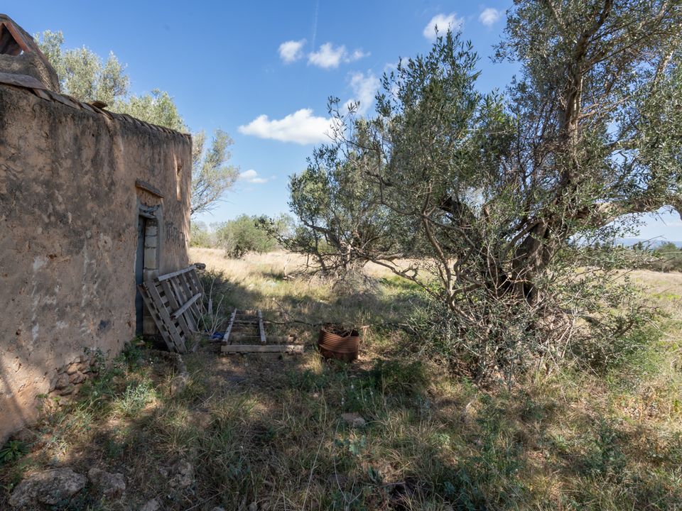 Finca a Roquetes, Tarragona - foto 3