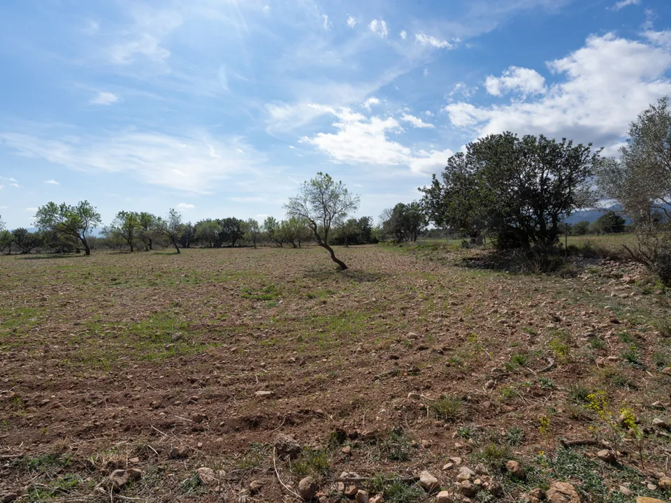 Finca i Roquetes, Tarragona - foto 3