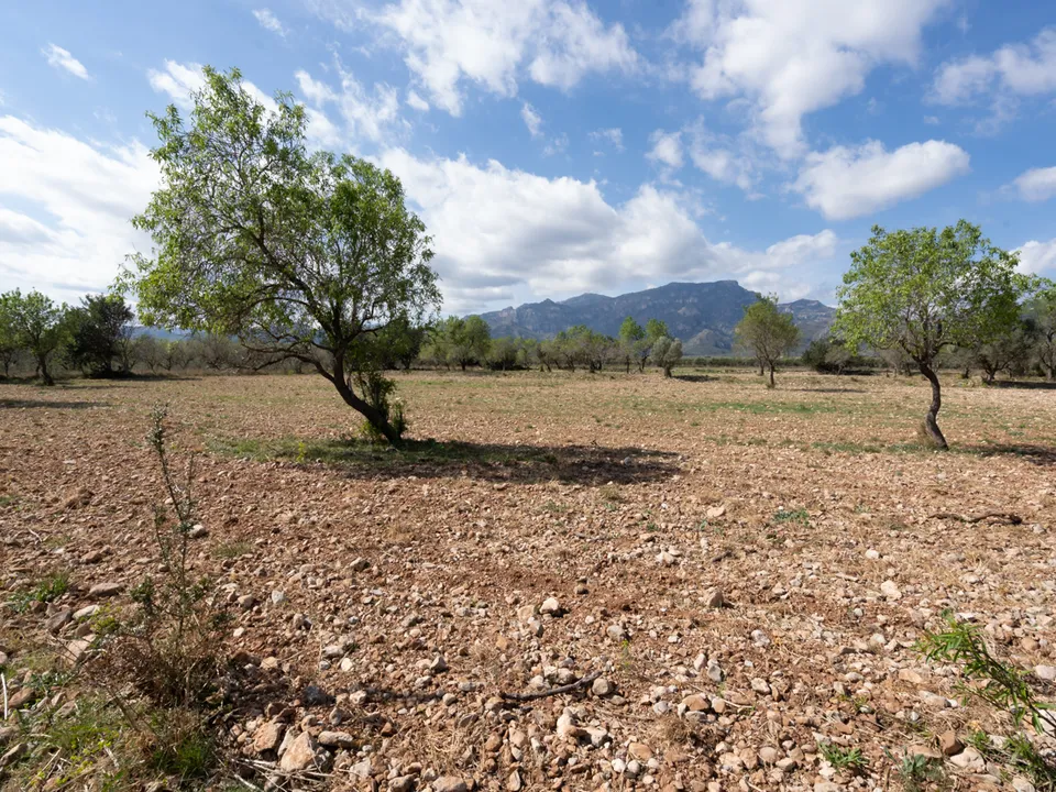 Finca i Roquetes, Tarragona - foto 1