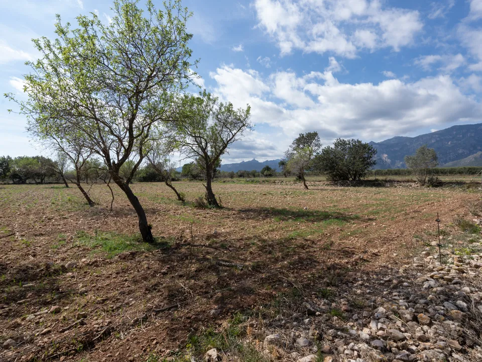 Finca i Roquetes, Tarragona - foto 2