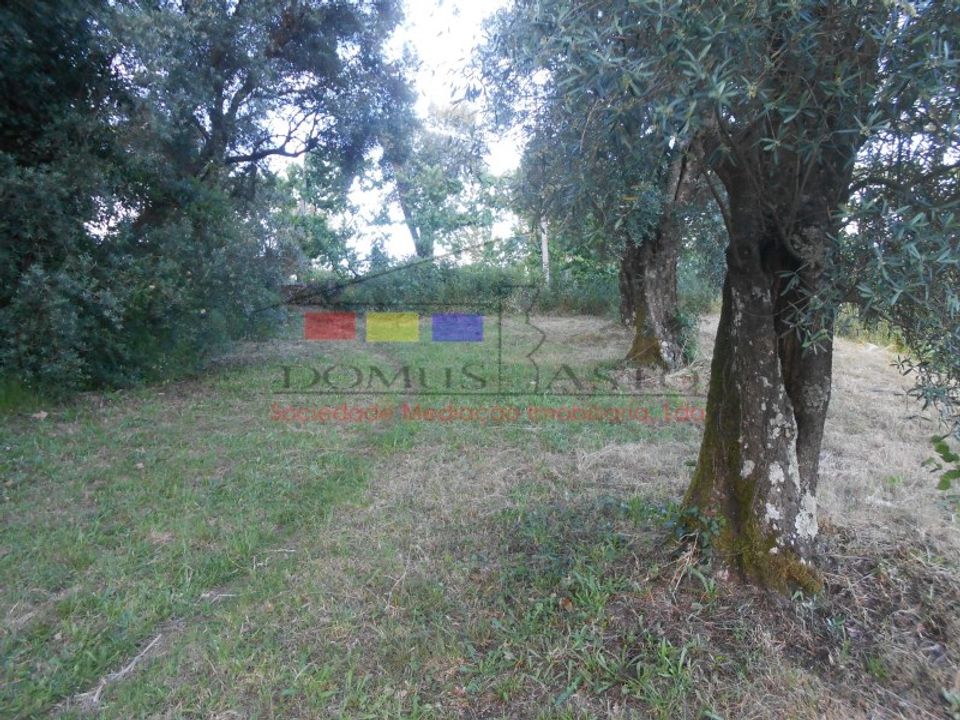 Helårsgrund i Cabeceiras de Basto, Braga - foto 1