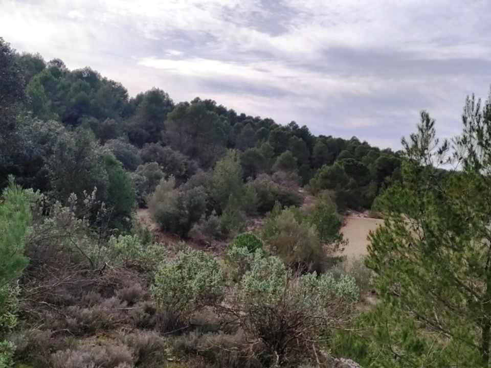 Finca a Bocairent, Valencia - foto 1