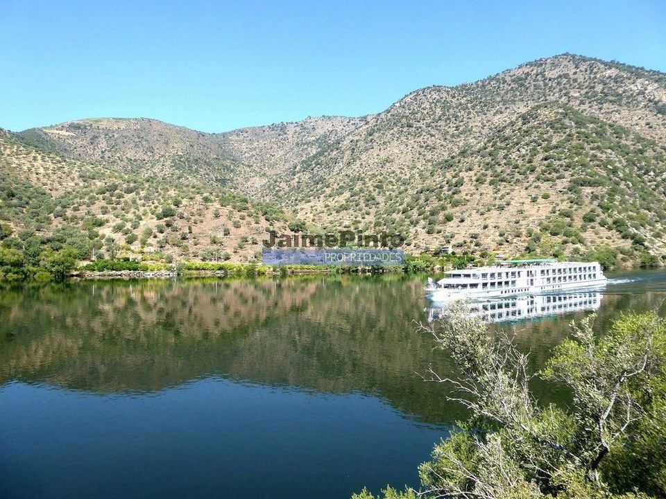 Helårsgrund i Sao Joao da Pesqueira, Viseu - foto 3