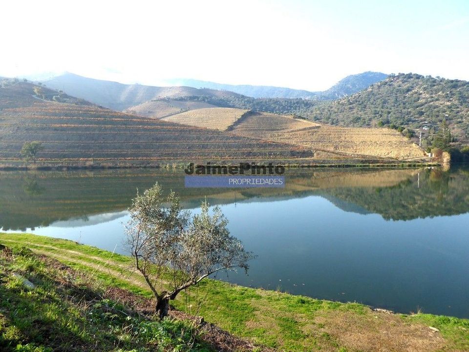 Helårsgrund i Sao Joao da Pesqueira, Viseu - foto 1
