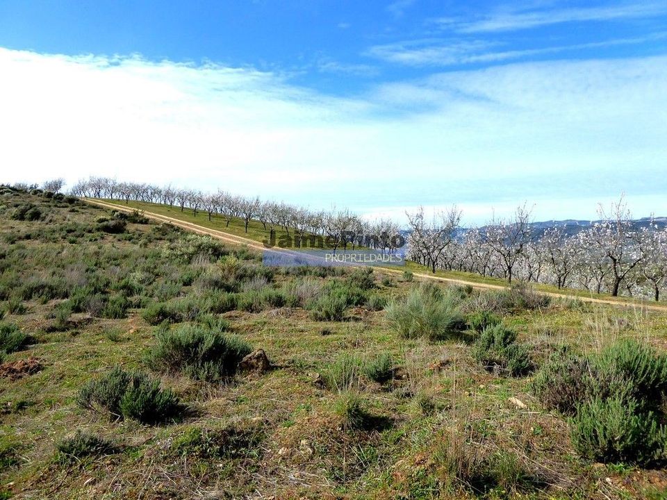 Helårsgrund i Alfandega da Fe, Braganca - foto 2