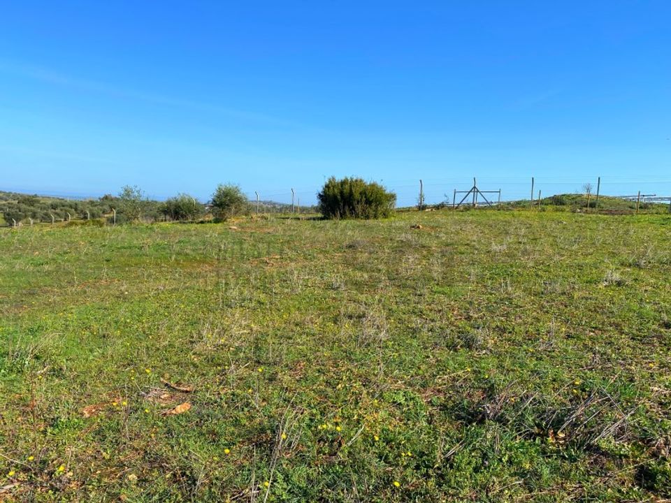 Helårsgrund i Serpa, Beja - foto 4