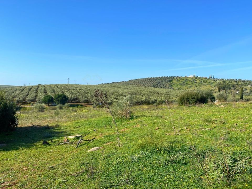 Helårsgrund i Serpa, Beja - foto 5