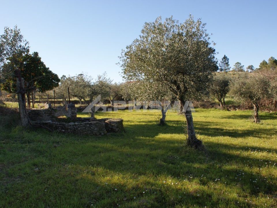 Helårsgrund i Castelo Branco, Castelo Branco - foto 1
