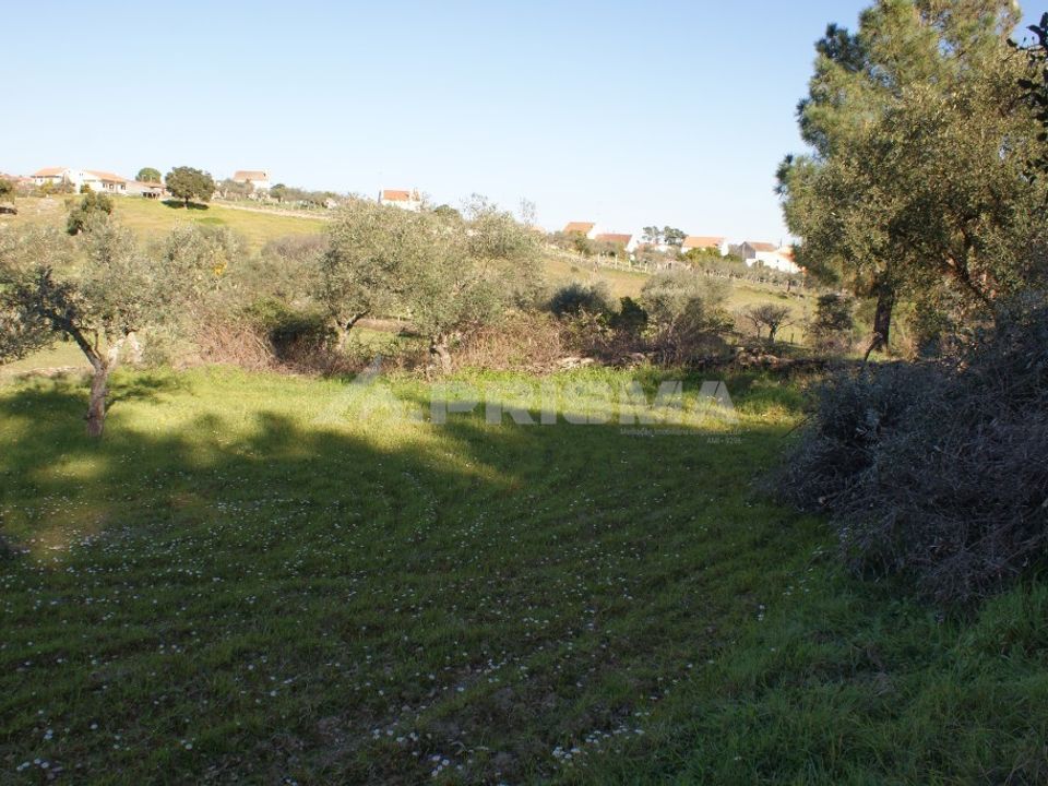 Helårsgrund i Castelo Branco, Castelo Branco - foto 5