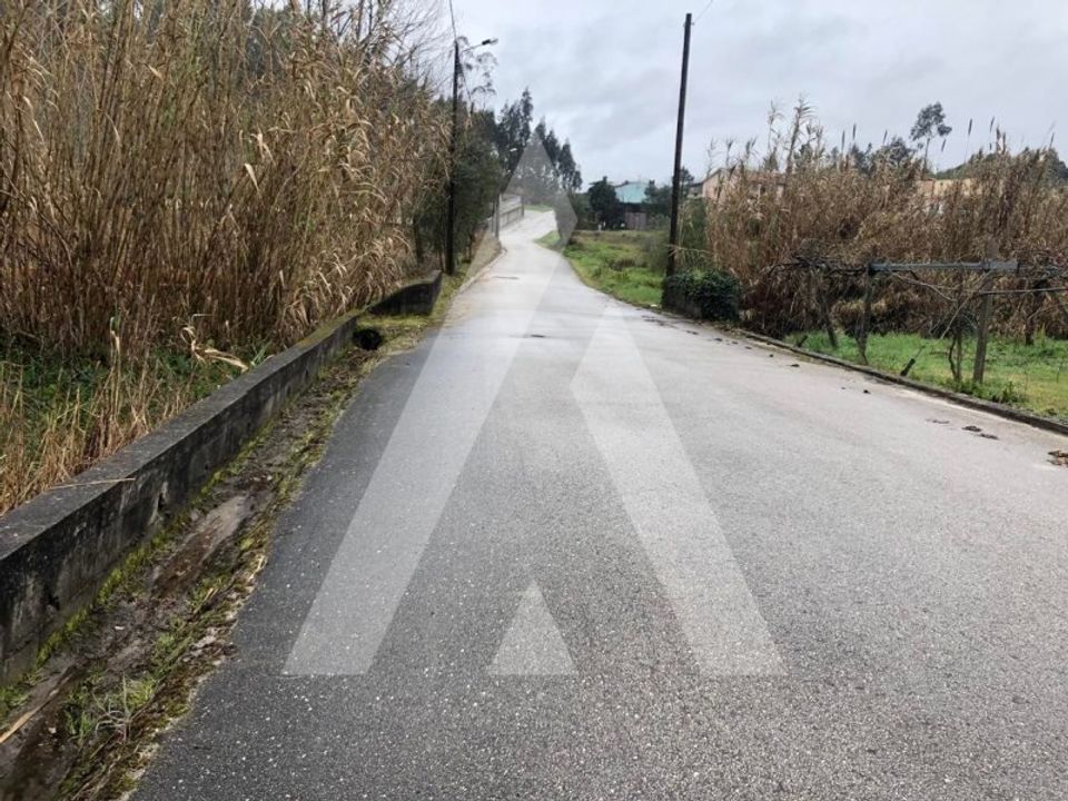 Helårsgrund i Anadia, Aveiro - foto 4