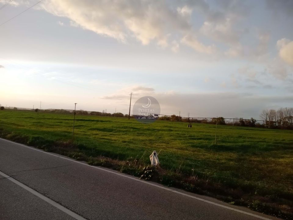 Helårsgrund i Chamusca, Santarem - foto 4