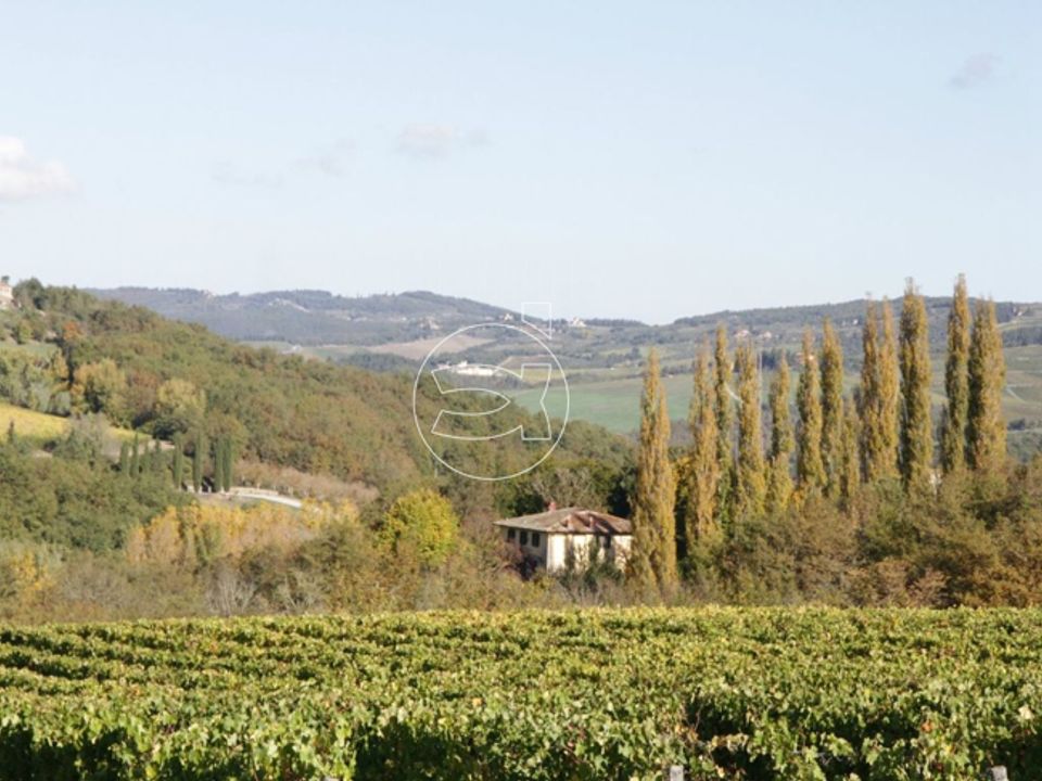 Casa rural em Castellina in Chianti, Siena - foto 4