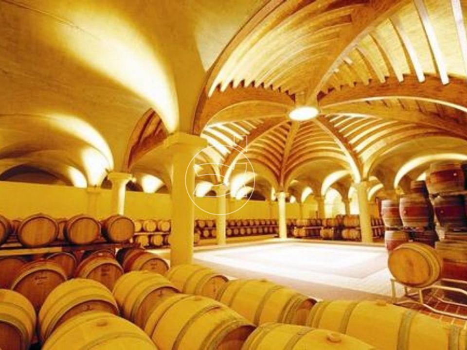 Landejendom i Castellina in Chianti, Siena - foto 3