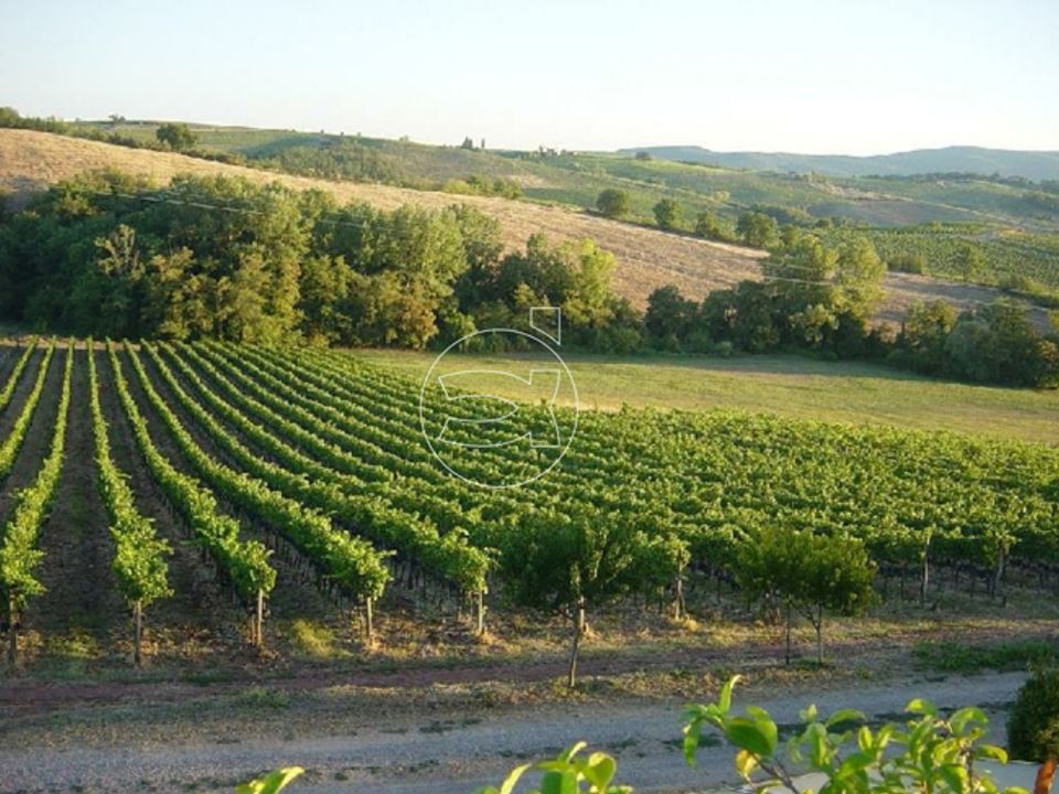Landejendom i Castellina in Chianti, Siena - foto 3