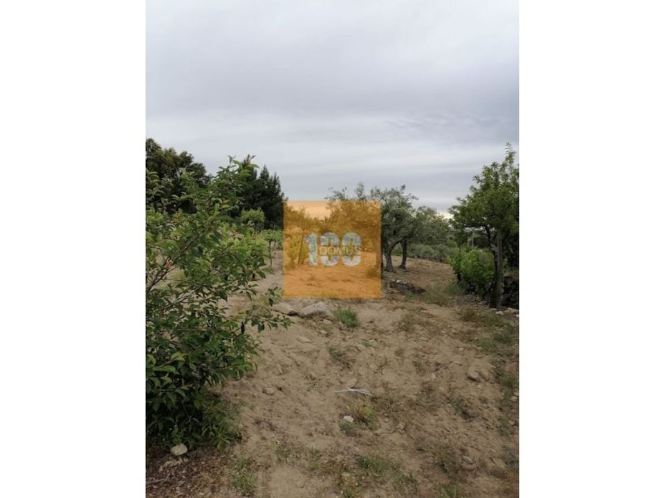Helårsgrund i Torre de Moncorvo, Braganca - foto 4