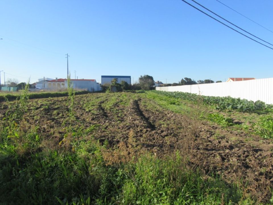Terra a Monte Real, Leiria - foto 2