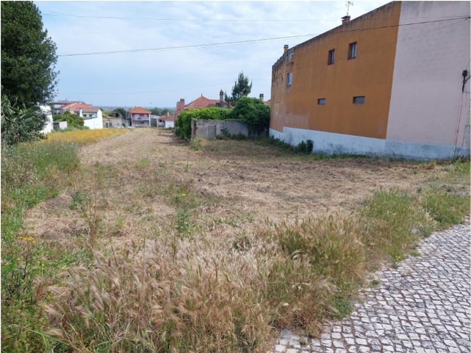 Tomt i Monte Real, Leiria - bilde 4