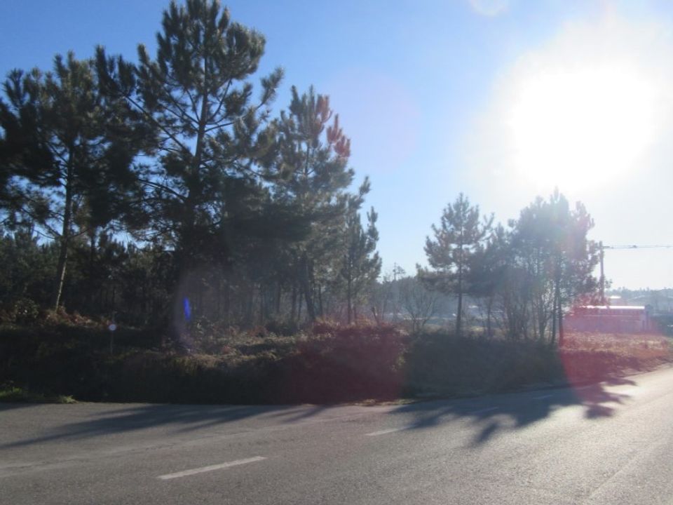 Terreno en Monte Real, Leiria - foto 3