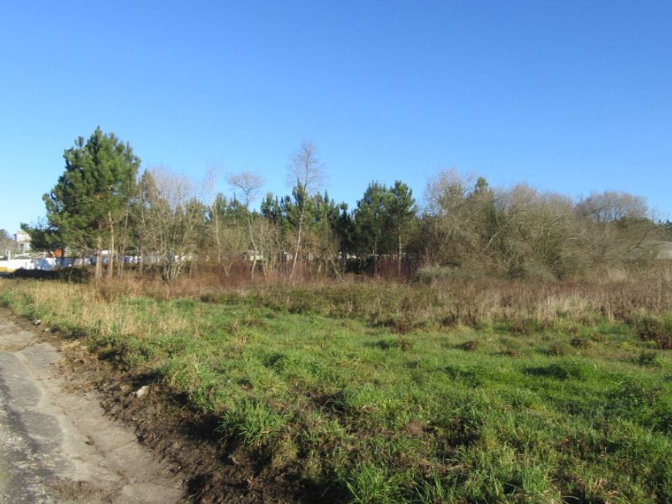 Terreno en Monte Real, Leiria - foto 5