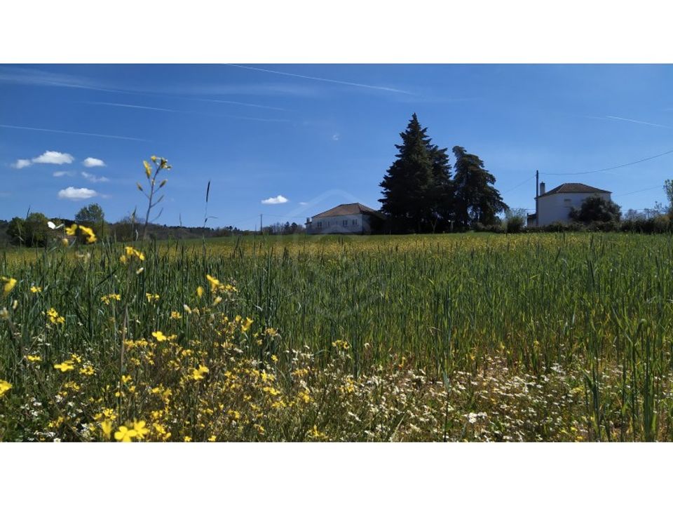 Landejendom i Belmonte, Castelo Branco - foto 1