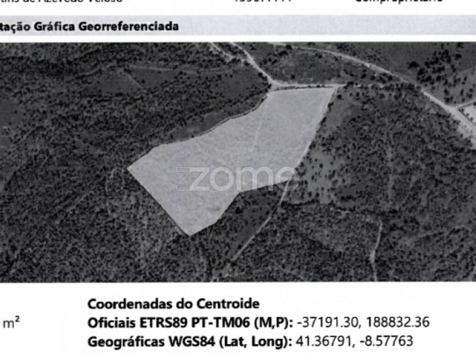 Helårsgrund i Ribeirao, Braga - foto 1