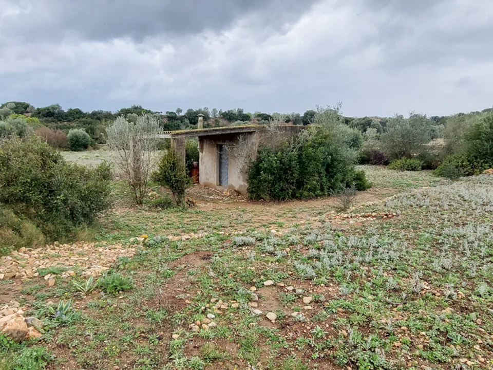 Finca i Ulldecona, Tarragona - foto 5