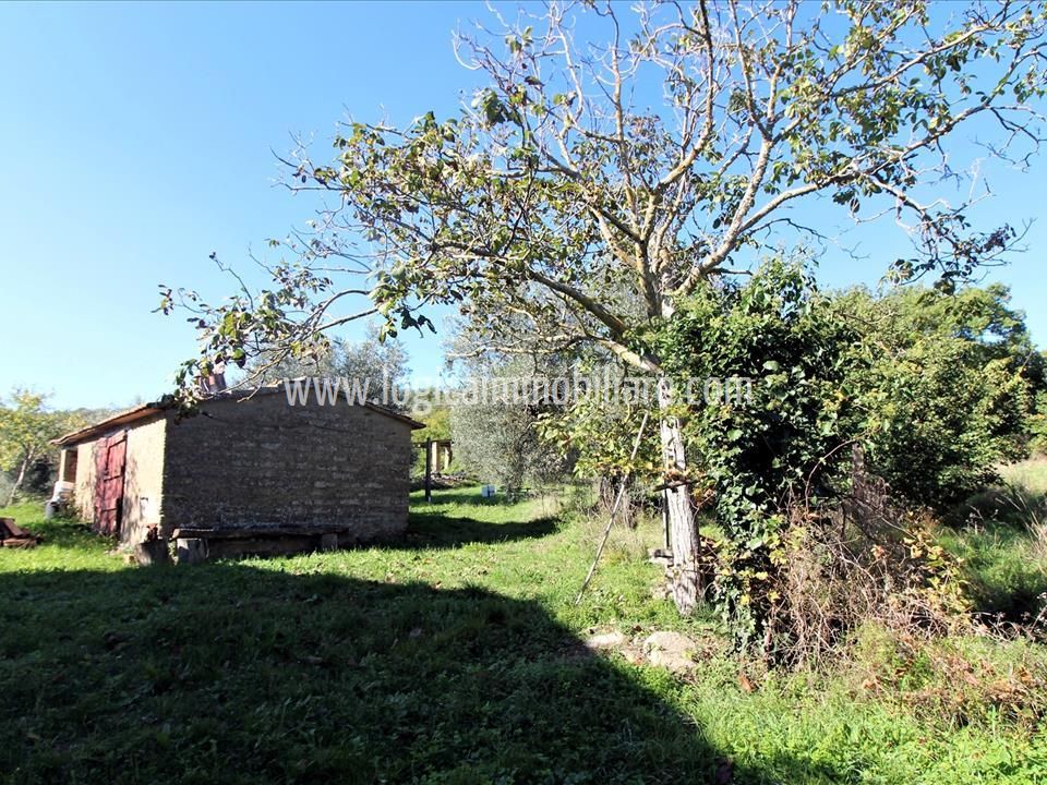 Farm hus i Montegabbione, Terni - foto 4
